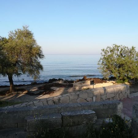 La Maison De Gabriele Bed & Breakfast Lido Conchiglia Exterior photo